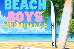 Beach boys experience poster