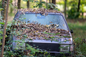 Image of abandoned car with leaves on it in forest