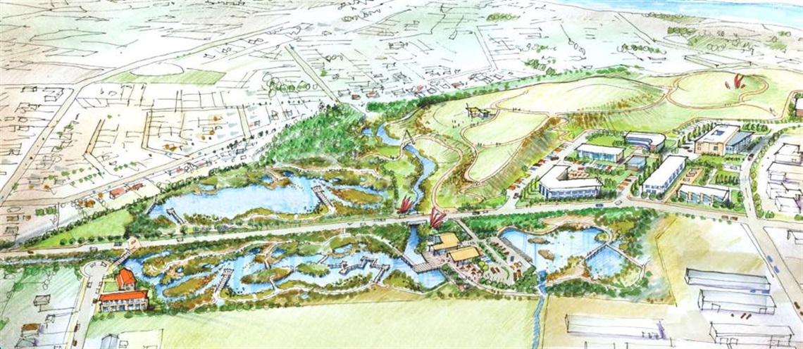 Kokohuia wetland project - artist's impression of completed project