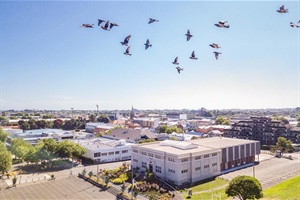 Whanganui Regional Museum